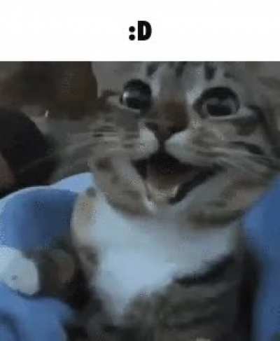 Rule