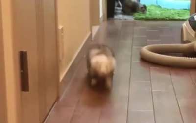 Oh lawd he comin'