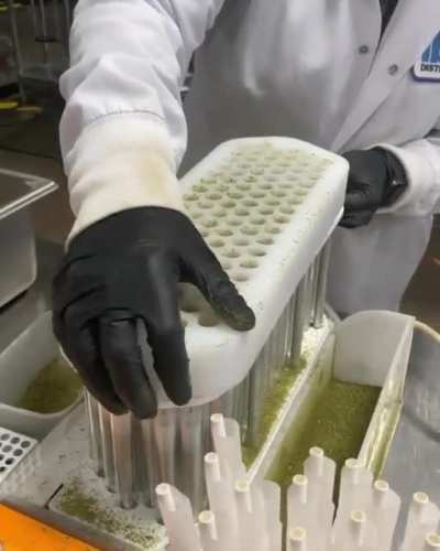Making pre rolls at the weed factory