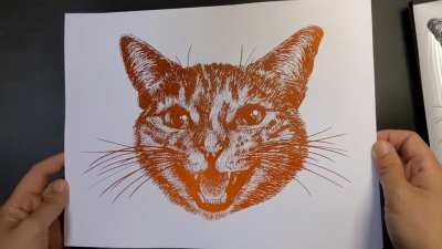 Foil reveal of my pet portrait of a cat named Data