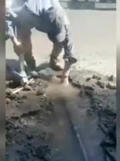 The risk of being a plumber. (Not OC. Credit to u/redlion009)