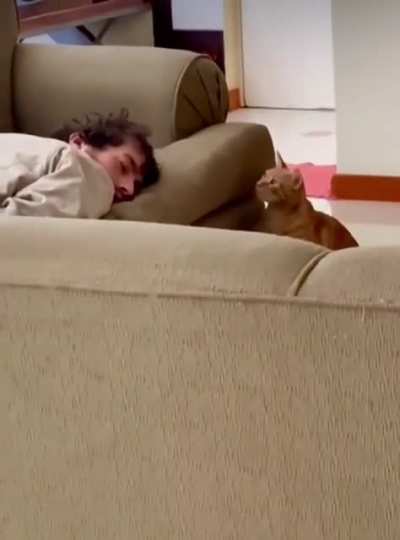 Not A Fan Of Sleepovers