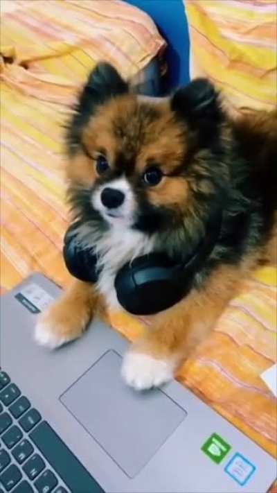 I'm not paying this bill