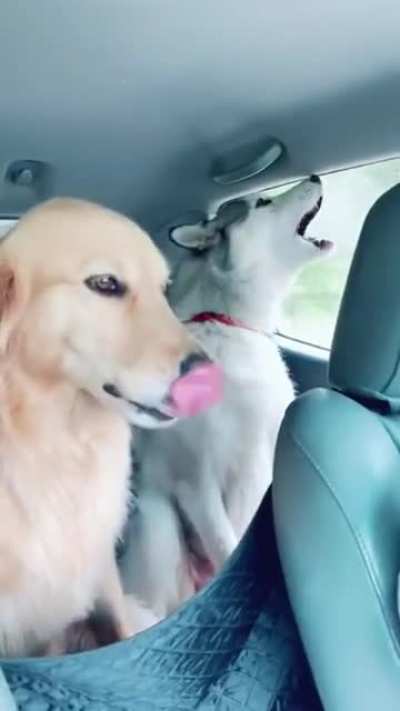 Are we there yet??