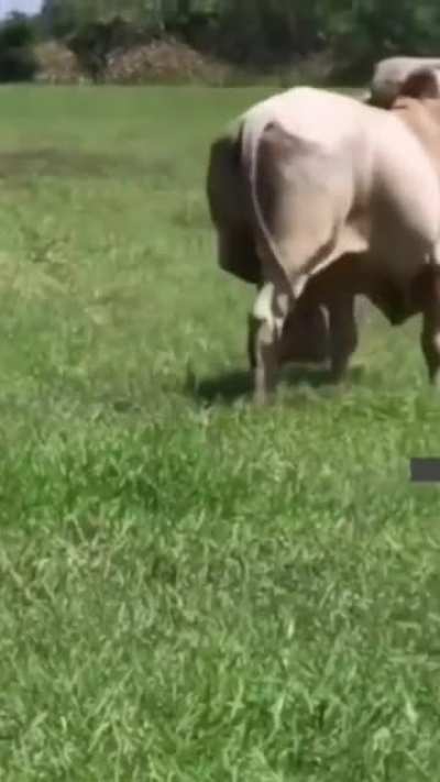 Me_irl
