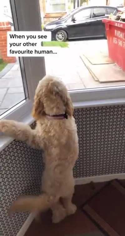 This is pure joy!