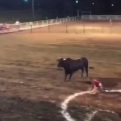 Bull jacks up women