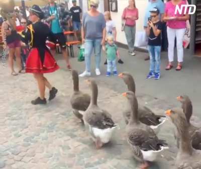 Yo our government even invaded Germany. We aren’t safe anymore