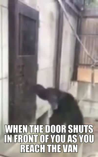 My struggles in Phasmophobia inspired me to make this