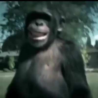 Trunk Monkey