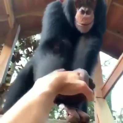 This gif belongs here