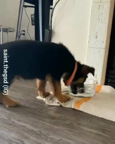Drinking is hard