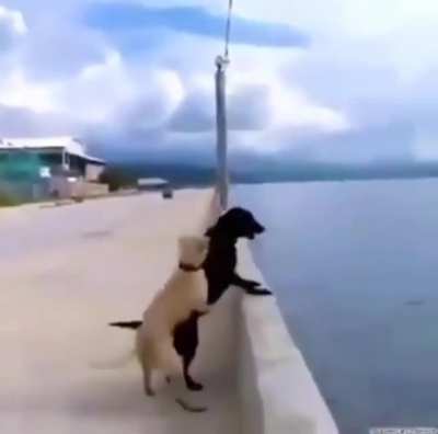 Let’s jump in to the water