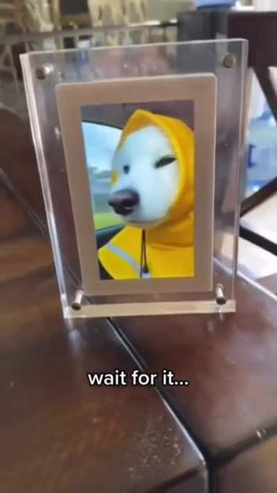 Wait for it 😂