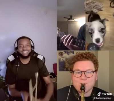 The original is great, but a bunch of folks ran with it and made this.