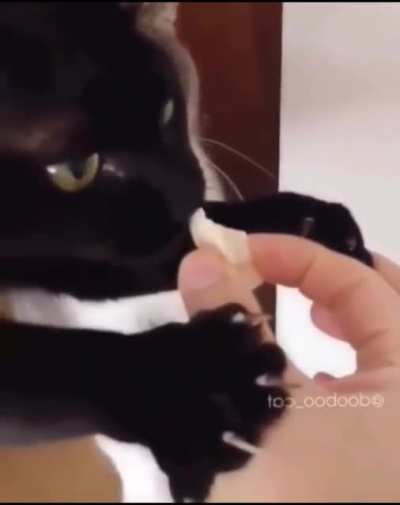 Thief