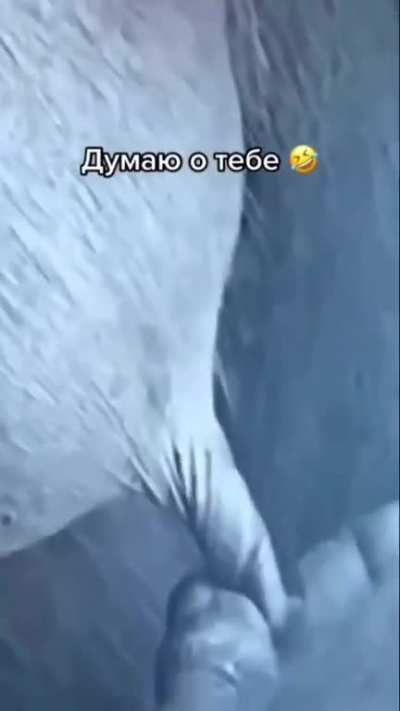 Yo si fuera mujer por 1 dia
