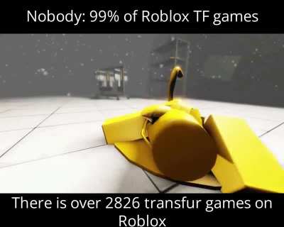tf_Roblox_irl