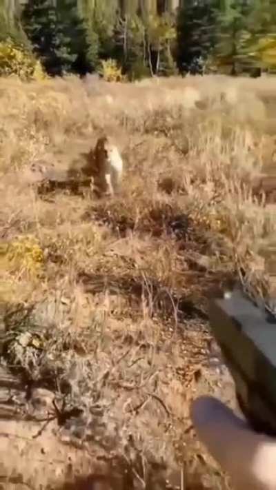 Close encounter