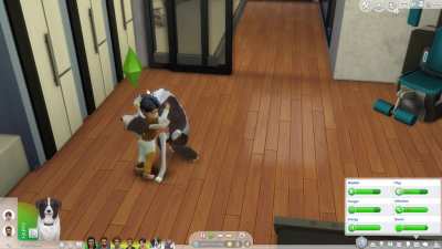 Erm.. Good Doggo?