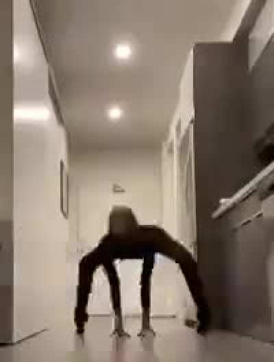 spider rule