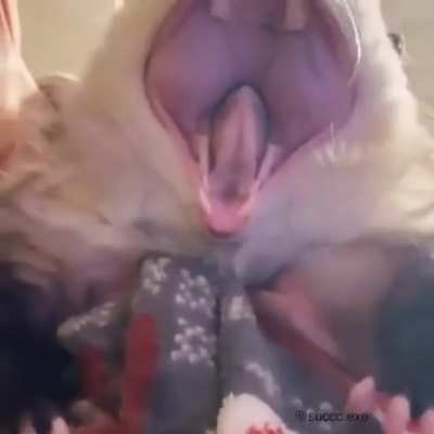 🙂