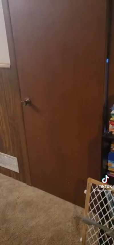 Making a cat door