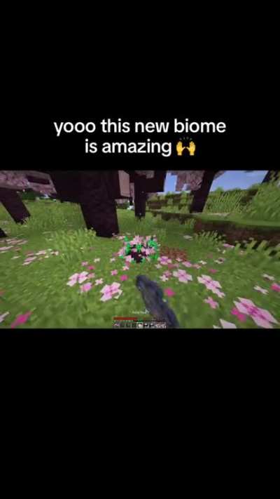 Minecraft.