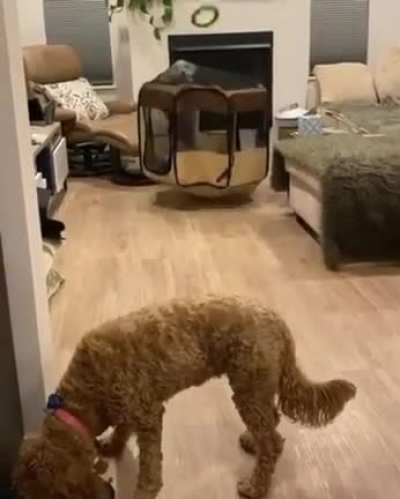 Bit jumpy