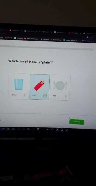 Duolingo Struggles