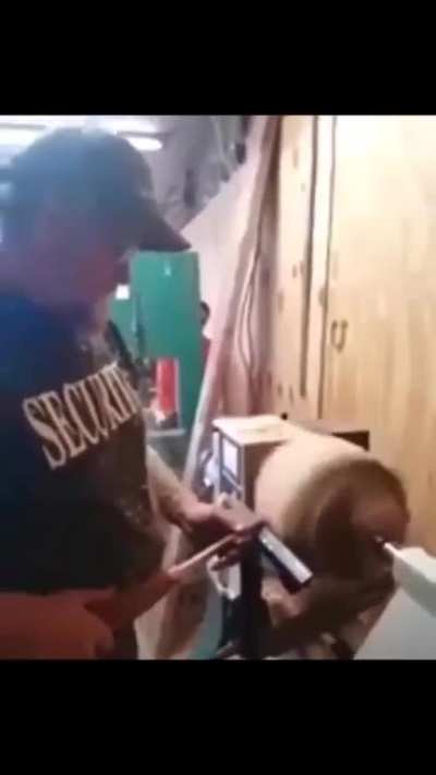 Bonk