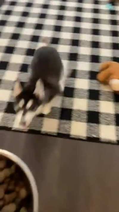 He’s excited for breakfast