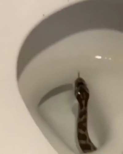 Uhhh