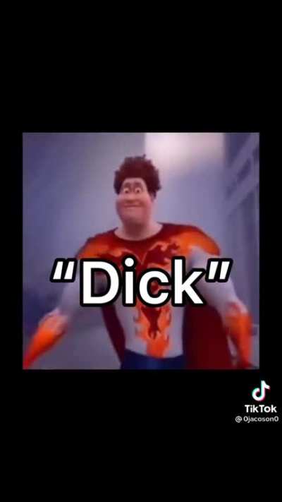 TikTOk gay rule
