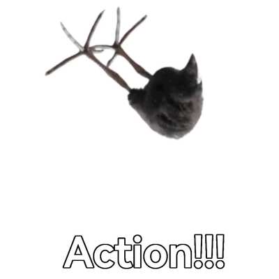 ACTION!!!