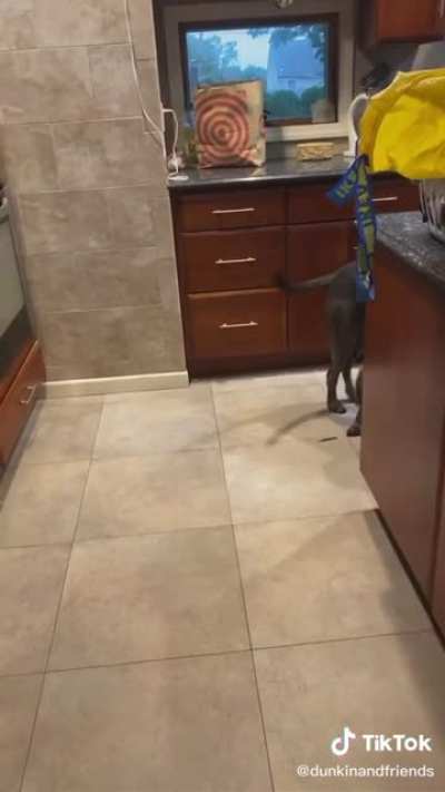 Dunkin doesn't like his diet.