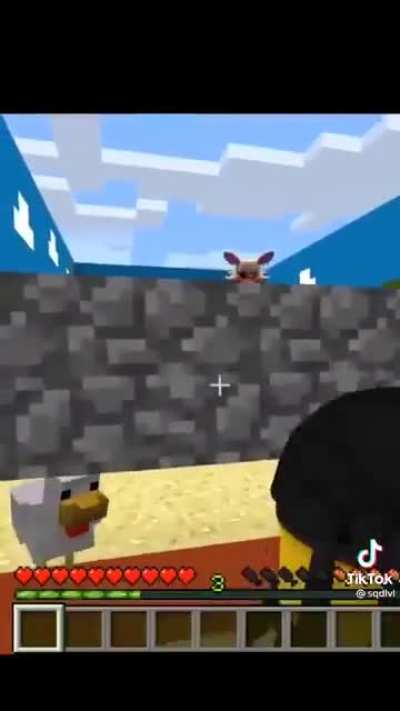What the fuck