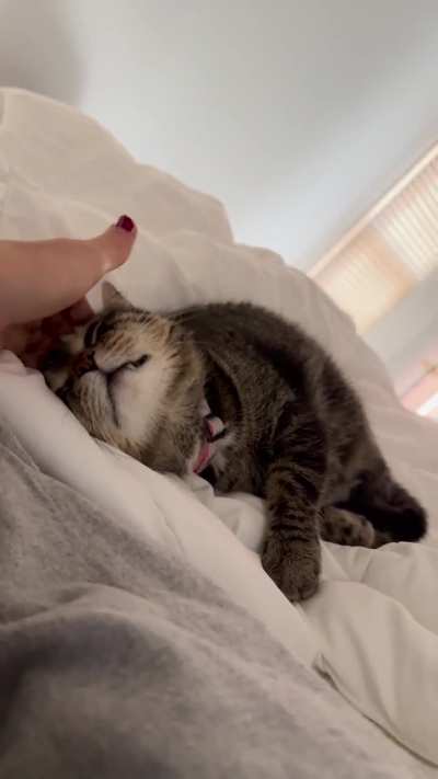 Brain massage