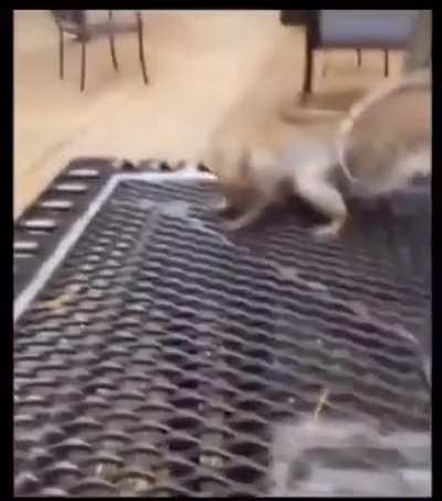 ‘