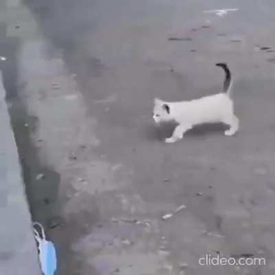 Ах поребрик, бессердечная ты сука