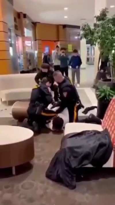 Police arrest only black kid in fight while white kid is politely seated