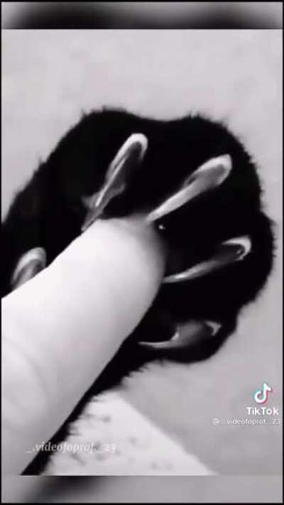 🖤