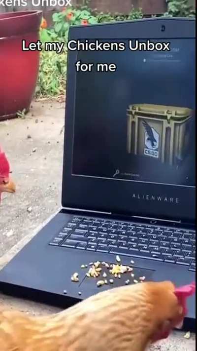 Don't count your hatch before they chickens?