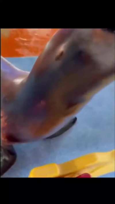 a-