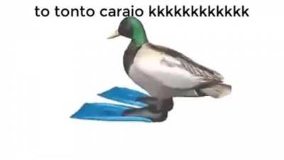 Presenciem o pato giratório 🔄