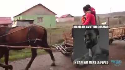 Sigma Romania 🇷🇴🇷🇴🇷🇴
