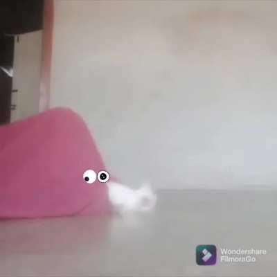 Gulper