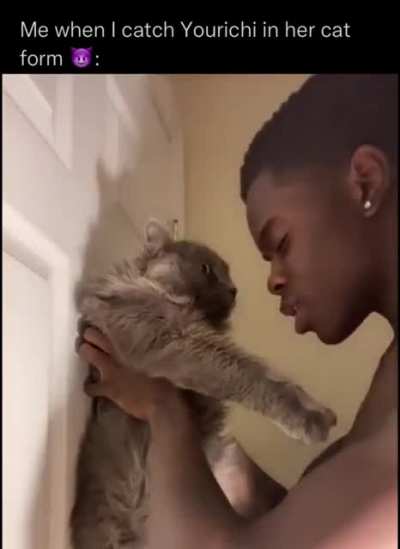 Please stop molesting the cat :/