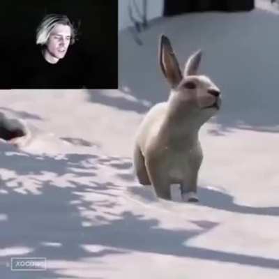Kkkk