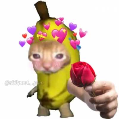 Me gusta usted